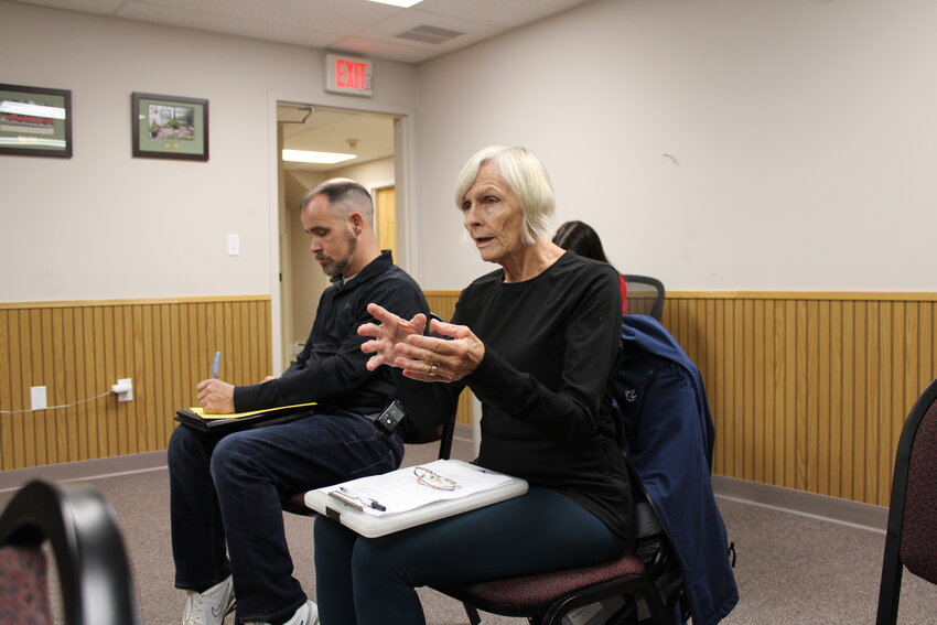 Janet Carey discussed the role she could play in helping make the camp a success.