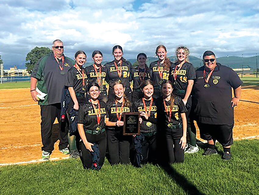 The 2025 Section IX Class D Baseball and Softball Champs The Eldred Yellowjackets.    Eldred softball
