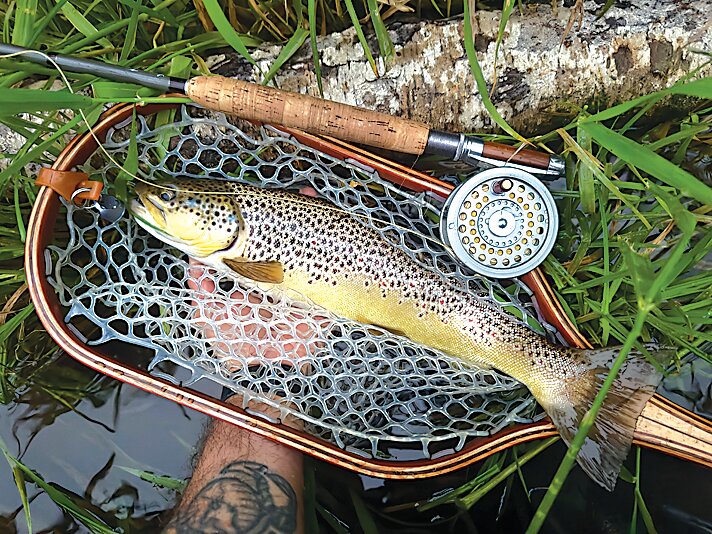A beautiful brown trout caught by Seth Cavarretta while fishing the lower East Branch Delaware on Saturday evening. Seth said he was using an Adams, and that the trout were rising steadily to Olives, Sulphurs and Cahills with a few Isonychia as well.