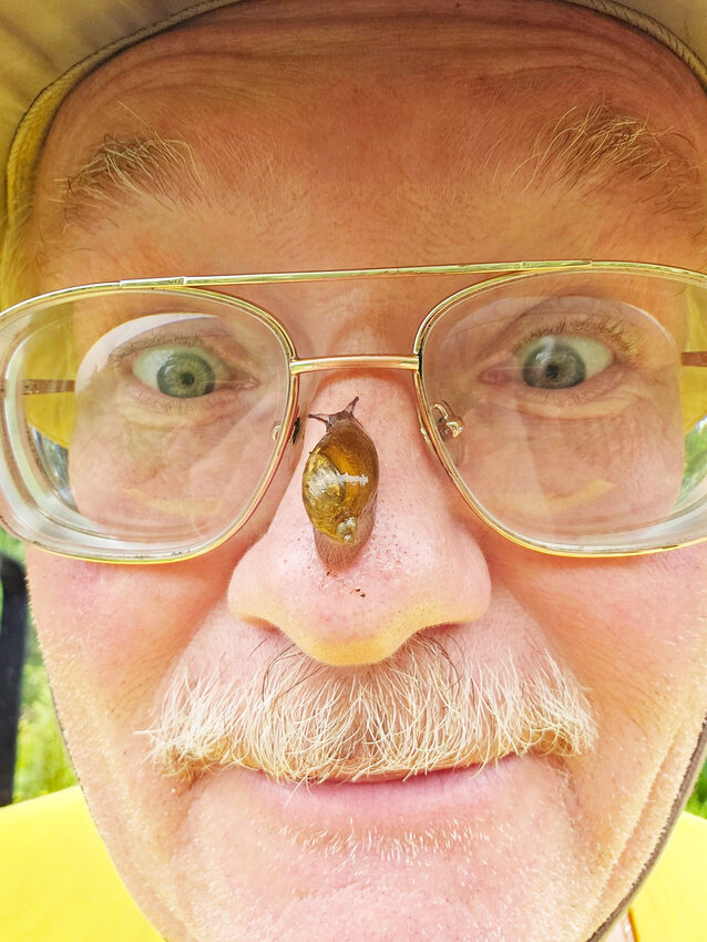 Amber snails are the good guys