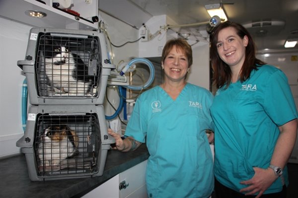Veterinary technicians Lisamarie Harden McGrath (left) and Olivia Kania pose with two of the cats presented for spay/neuter surgery at the T.A.R.A. Mobile Clinic.