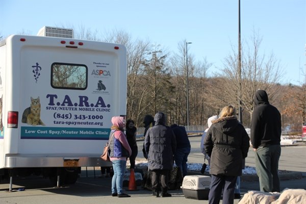 Despite the chilling temps, clients lined up during the intake hour to have their cats spayed or neutered at the T.A.R.A. Mobile Clinic in Monticello.