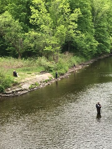 Family fishing during prime time along the Willowemoc Creek.