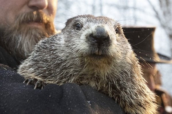 Punxsutawney Phil says another six more weeks of winter.