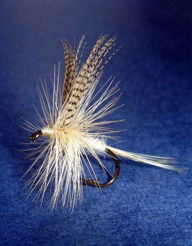 William Chandler's Light Cahill dry fly, as tied by Ed Van Put.