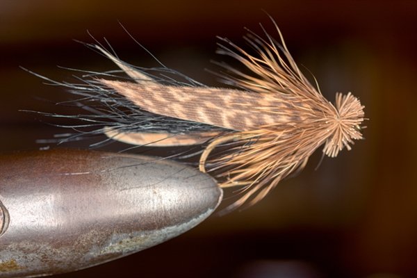 Muddler Minnow streamer fly tied by Harry Darbee. The Muddler is a popular fly to use in higher water during this time of year, as it imitates minnows and young-of-the-year fish.