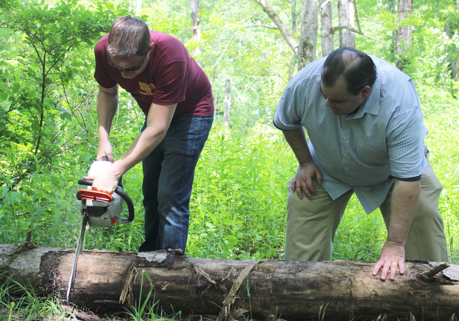 NYS Senator Mike Martucci and Sullivan County Legislative Chairman Rob Doherty work together to cut up a tree.