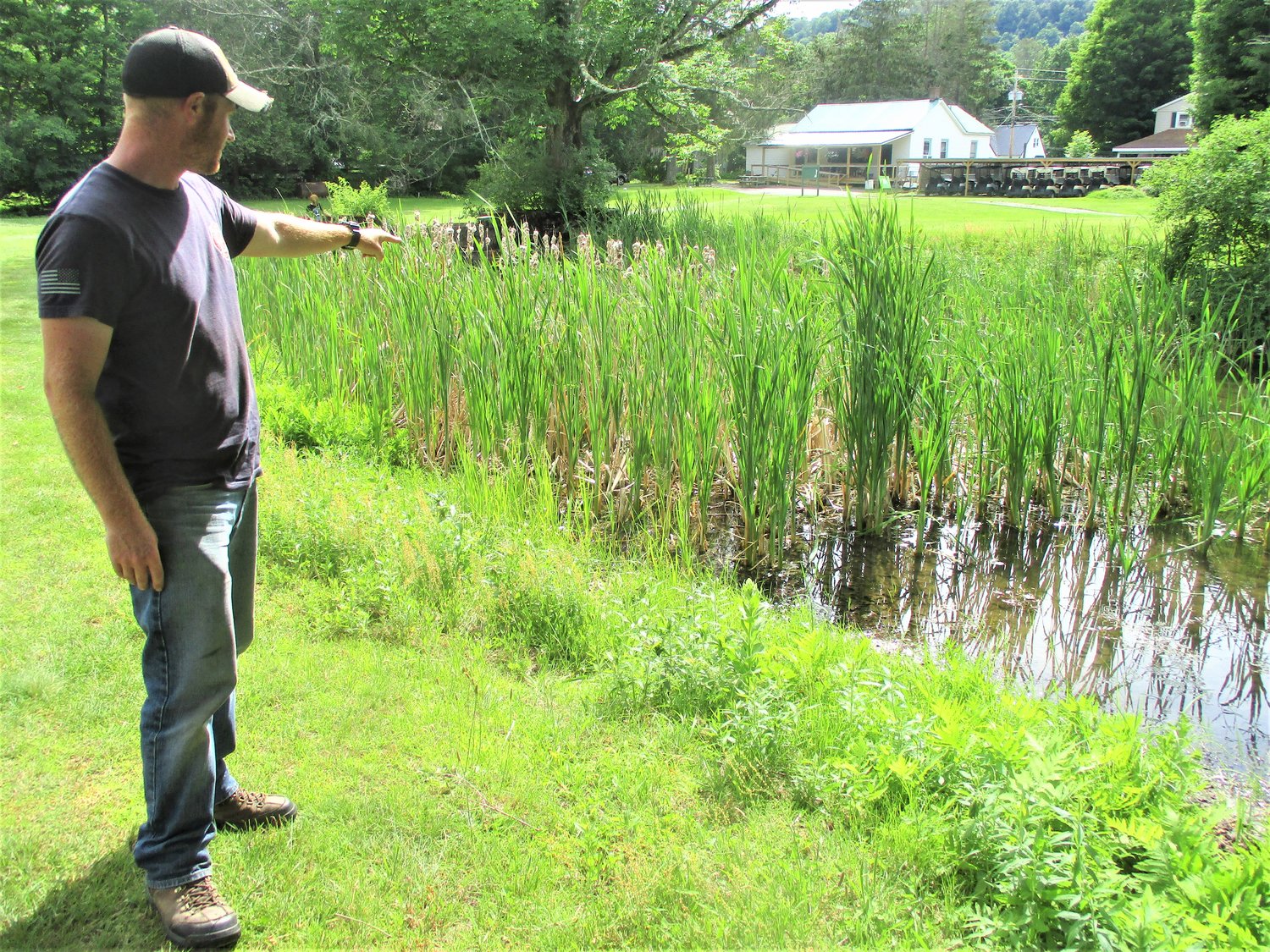 Twin Village Golf Course Superintendent, Gregory Feeney Jr., points to the cattail growth in the large pond separating the first and ninth  fairways. The pond will be cleaned out and reshaped this fall so that ice skating can take place  as part of the Winter Park activities.