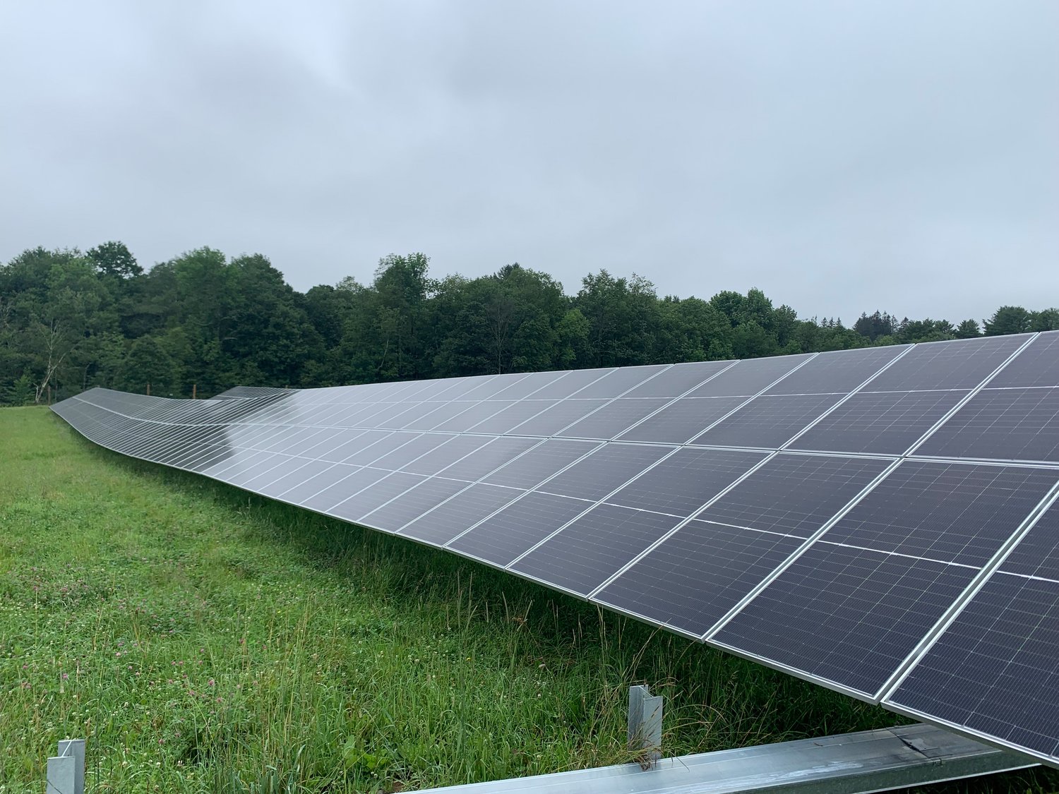 Row upon row of solar panels stretch across farmer Peter Hofstee’s field, providing 6.1 megawatts of solar energy to local residents, businesses and nonprofits.