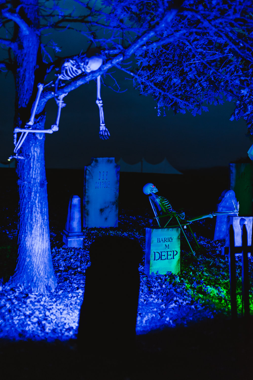 Wind your way through a skeleton graveyard….if you dare!