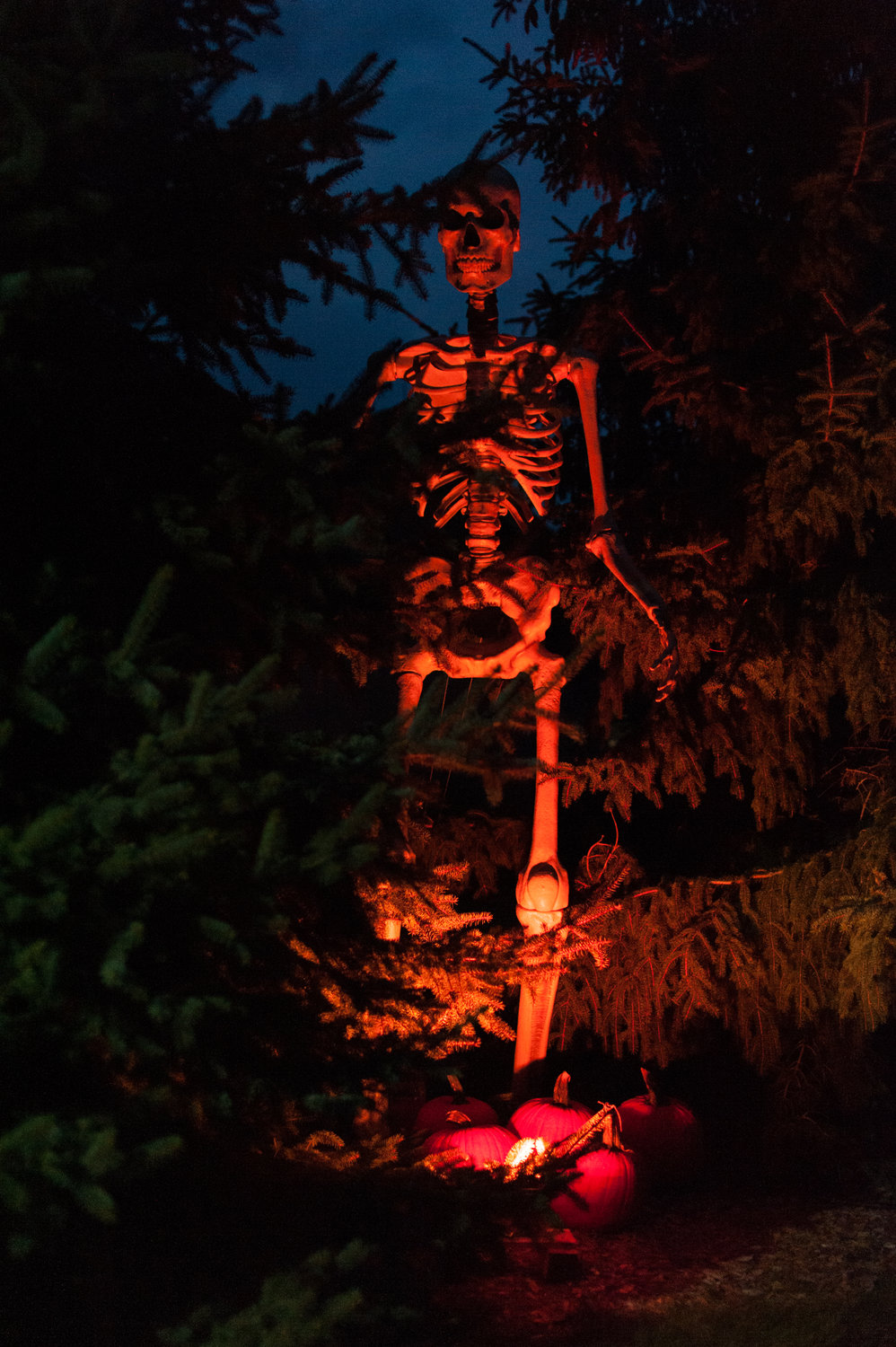 Wind your way through a skeleton graveyard….if you dare!