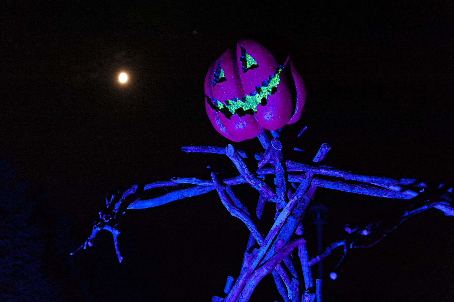Enjoy a spooky and groovy good time at Peace, Love & Pumpkins with the Pumpkin King.