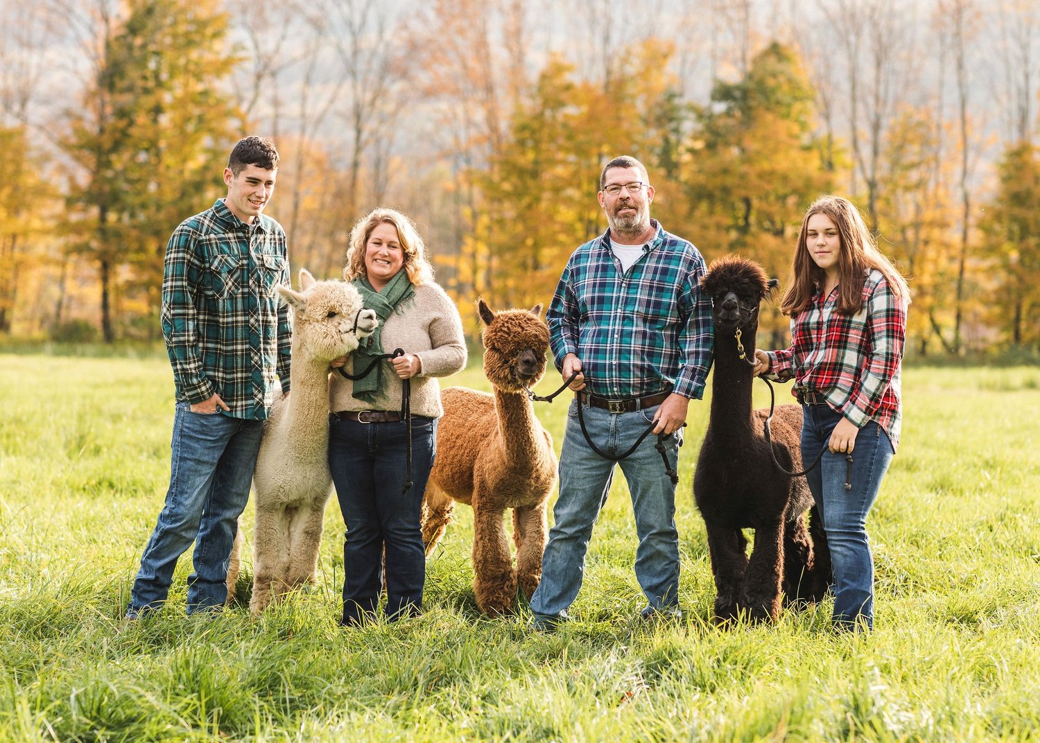Buck Brook Alpacas from left to right: James, Kara, Justin and Ryann McElroy.