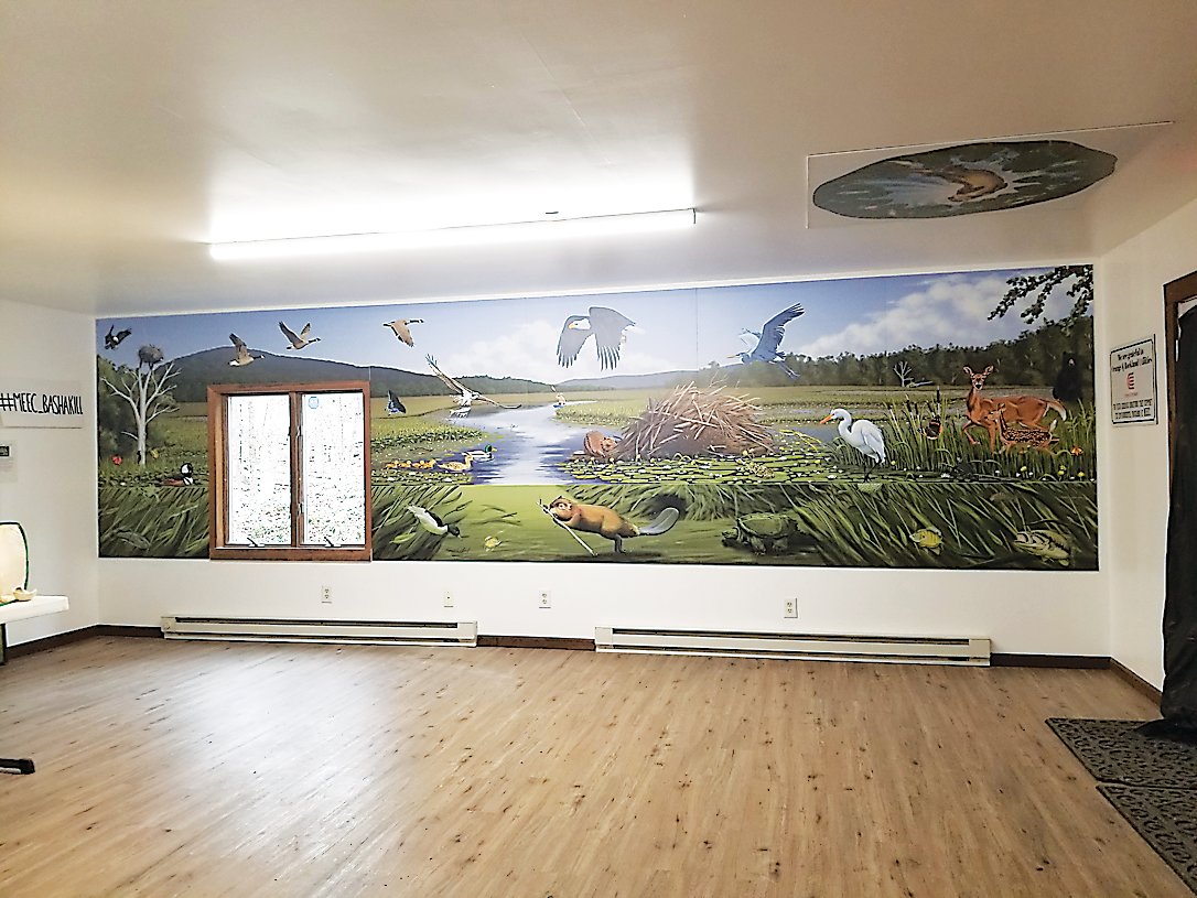 The full mural minus the panel on the ceiling. The mural depicts the wildlife and plants in the Bashakill.
