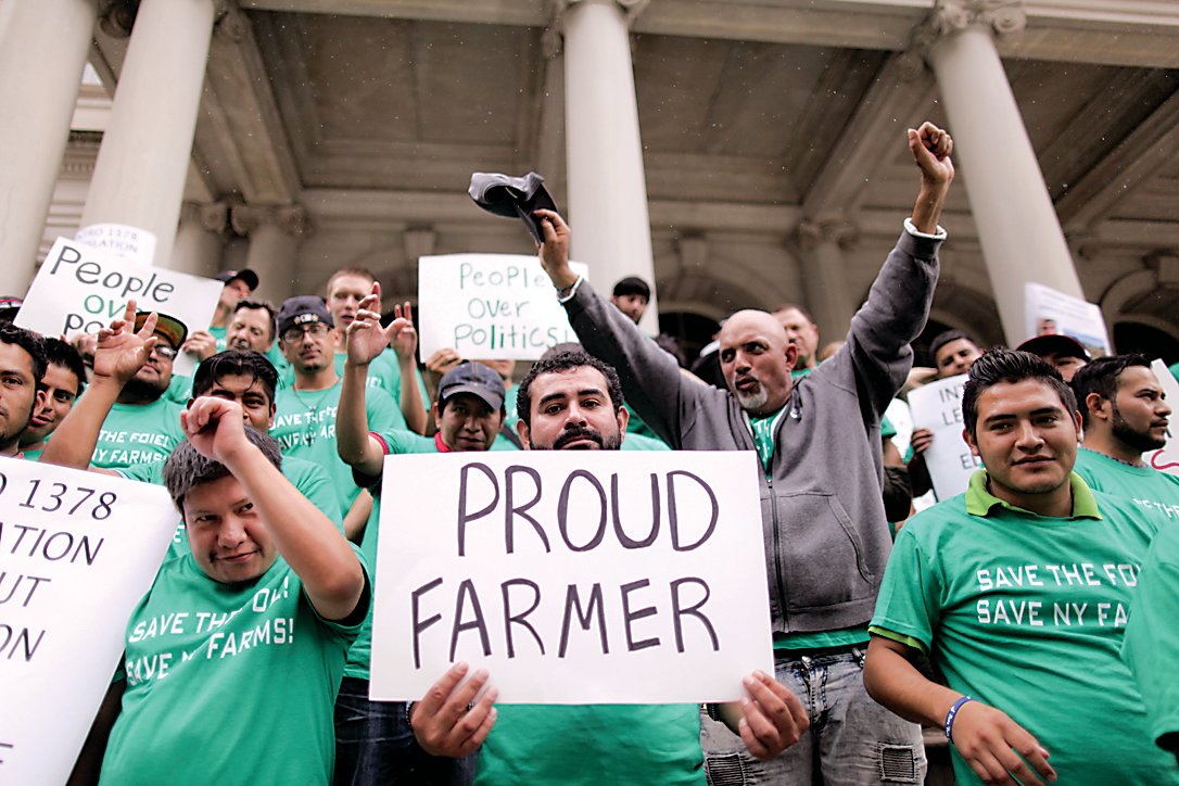 Farm workers took to the steps of NYC’s City Hall in 2019 to protest the ban on Foie Gras in NYC. Sullivan County’s Foie Gras farms are continuing the fight by filing a lawsuit against the ban that will take into effect in November banning the product from being sold at restaurants and grocery stores.