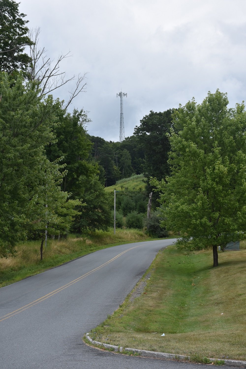 Contributed photo
This cell tower in Rock Hill, built on property acquired from the Emerald Corporate Center, now provides a public cell signal to a previously underserved area.