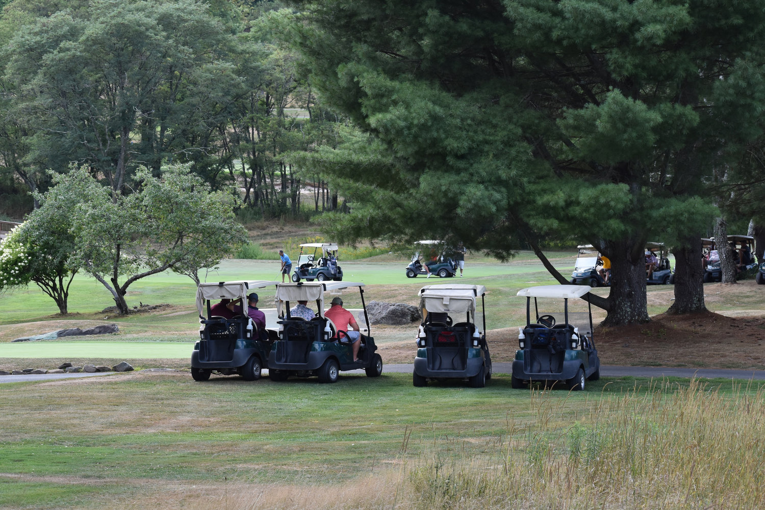 Carts lined the trees all around the 17th hole in anticipation for the Championship Flight finale.