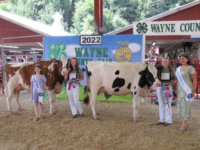All Reserve Champions, Clara Stackhouse and Tink (left), Sarah Spinelli and Leeann (right).