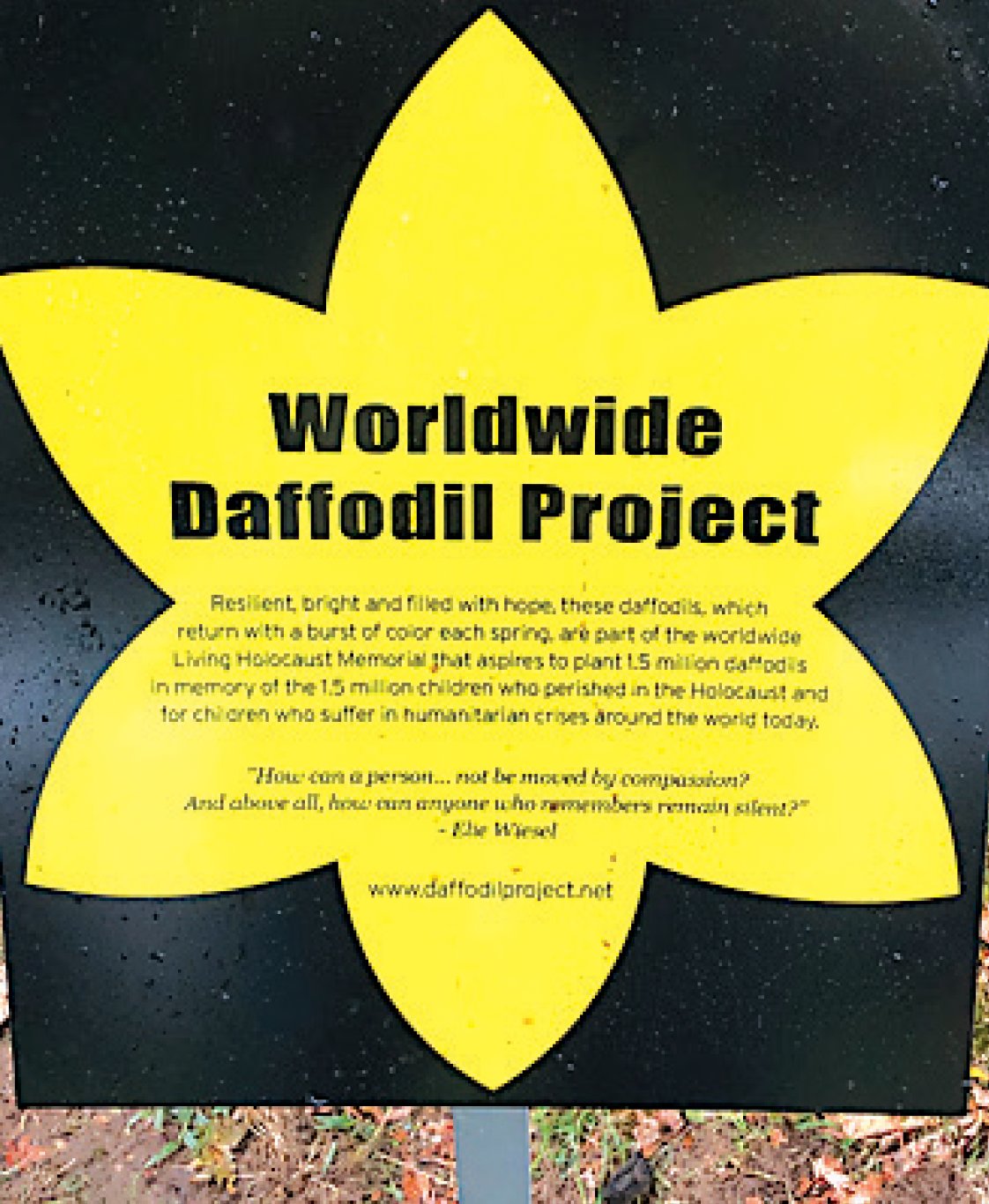 The Worldwide Daffodil Project explained.