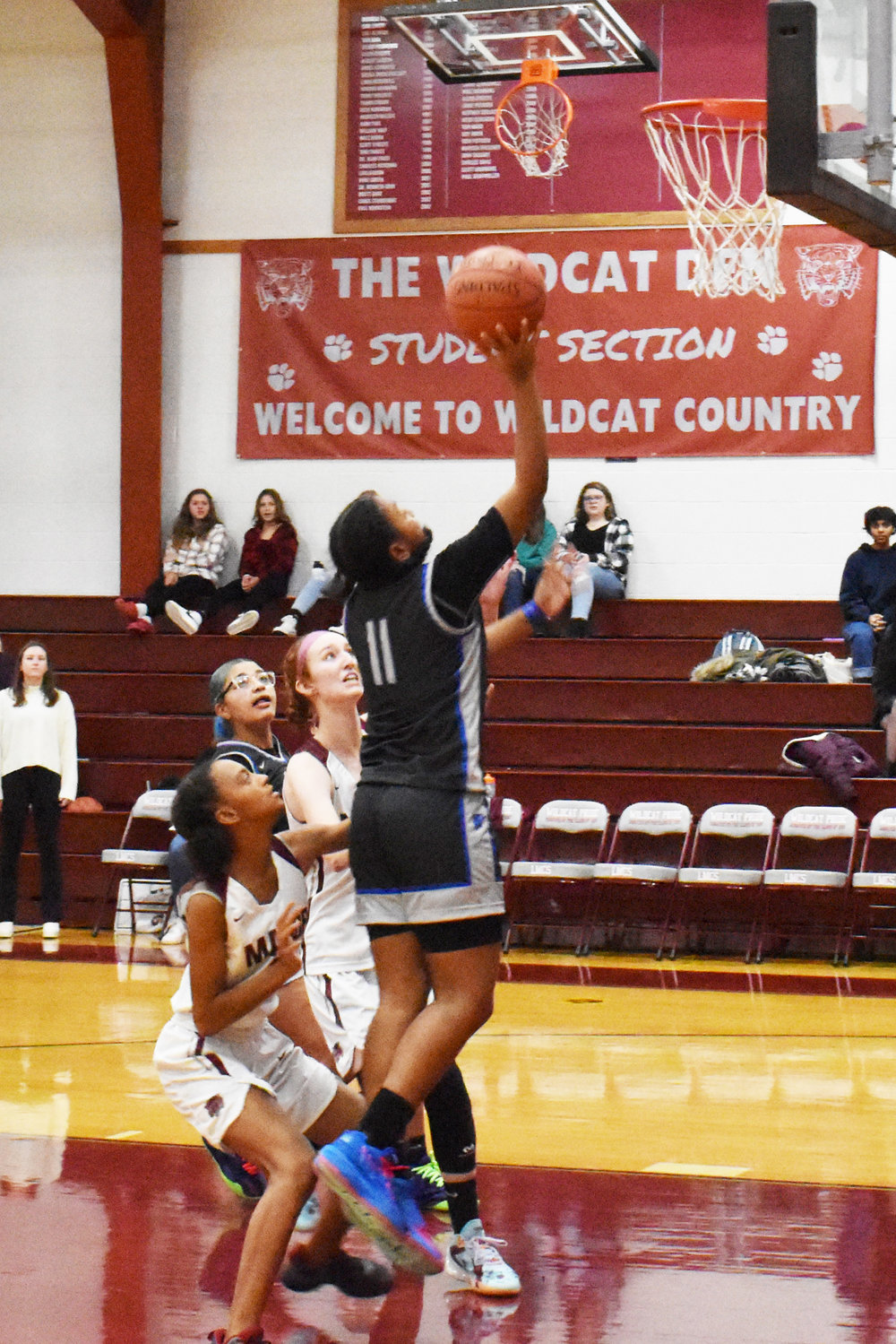 Aaliyah Mota gave the Lady Panthers a spark with her 26-point performance. She started with nine in the first quarter and never looked back as Monticello earned a non-league victory over Livingston Manor.