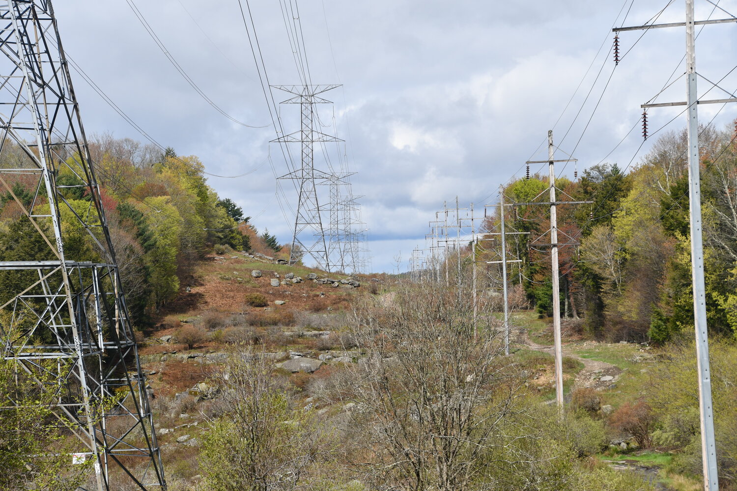 Clean Path NY will be developing a 175-mile underground transmission line along the same path as the Marcy South Transmission Line, seen here as it goes through Sackett Lake.