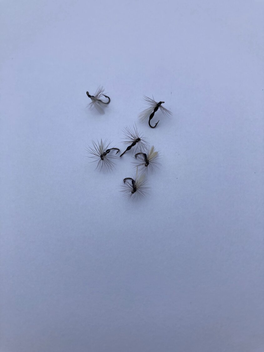 Photo is of flying ants tied by Ed Van Put (pattern is in the column).