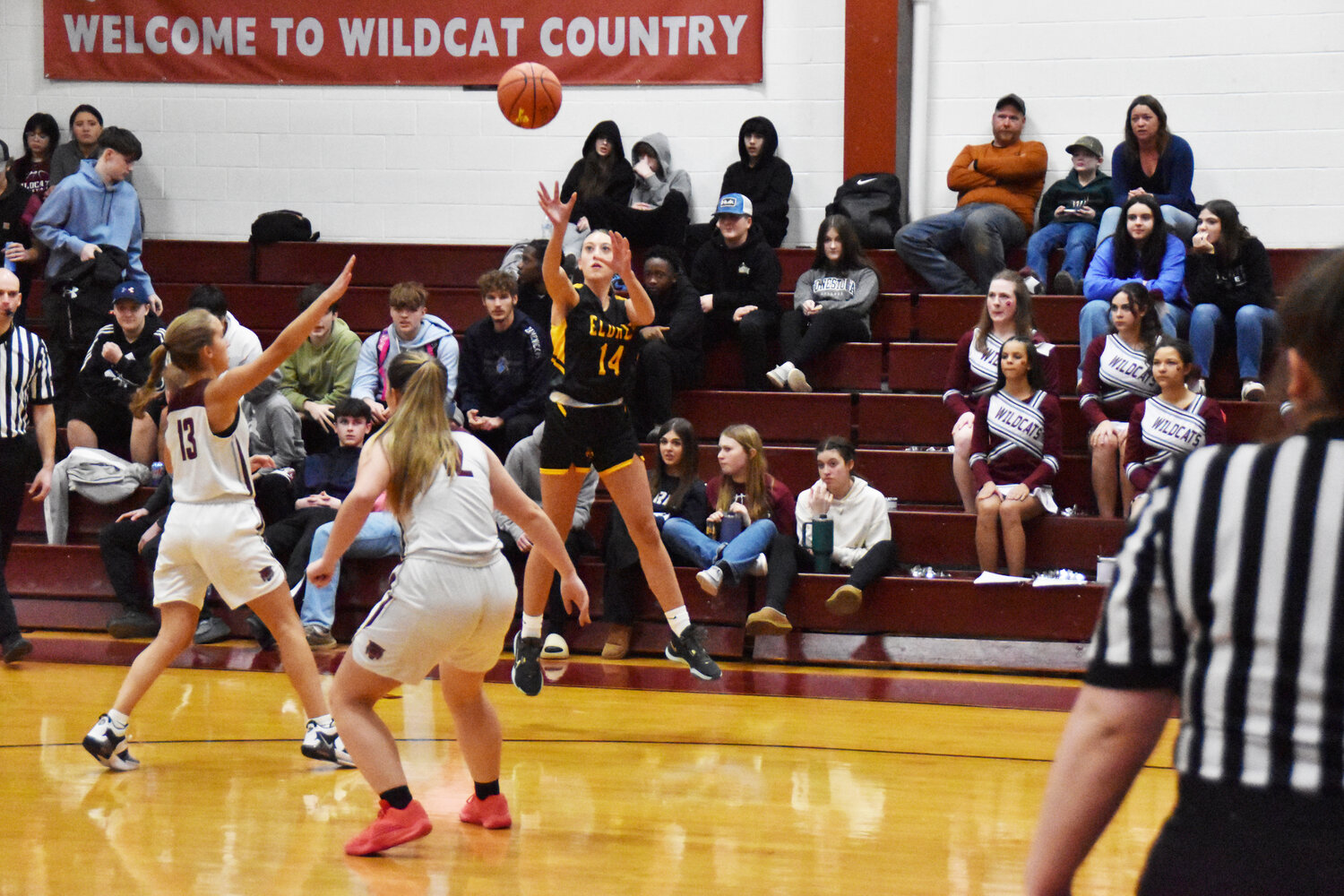 Victoria Ryman moved up to Varsity and scored 10 points in the division game against Livingston Manor.