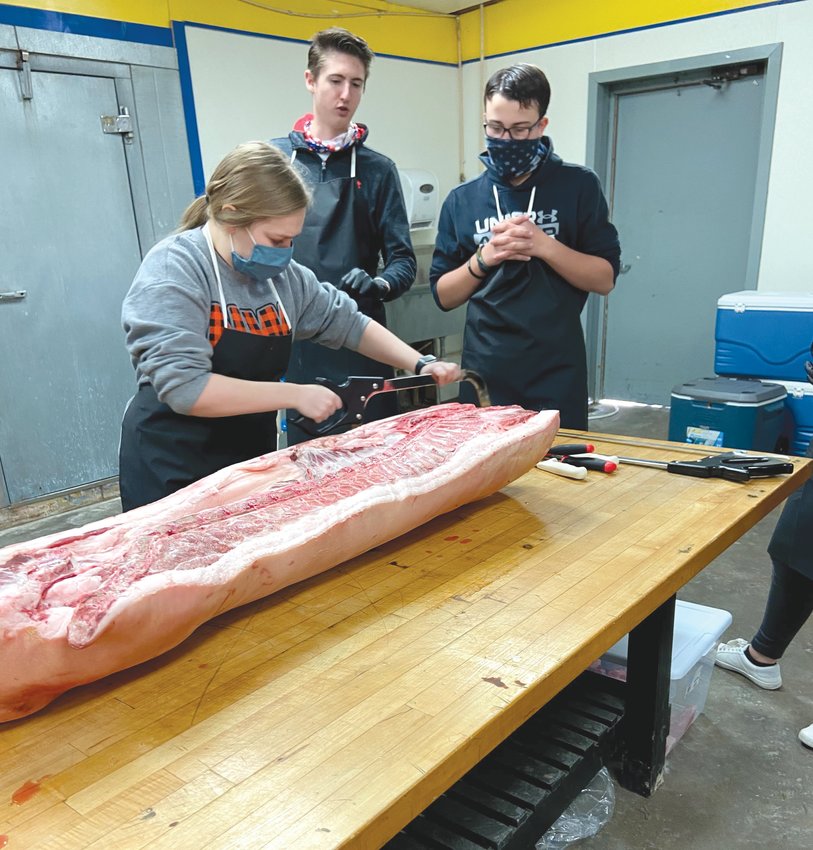 From left are Northwest High School agriculture teacher Shelby Bagnell, Northwest student Matthew Richardson, and Northwest David Thomlinson. Bagnell is a winner of the Teacher&rsquo;s Turn the Key Award, which is an award for second to fifth&nbsp;year agriculture teachers in Missouri. Bagnell instructs her meat science class by using one of two half hog carcasses for hands-on learning.&nbsp;