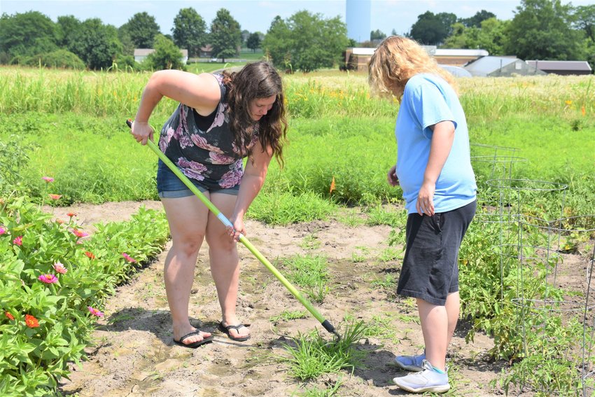 Smith-Cotton National Honor Society advisor Lorin Thierfelder, left, digs up weeds with Community Cafe garden student director Regan McGathy at the Community Cafe garden on Tuesday. &ldquo;Weeding is the hardest part of the garden,&rdquo; McGathy said. &ldquo;I leave for a few days and come back to it all being all grown up again.&rdquo;