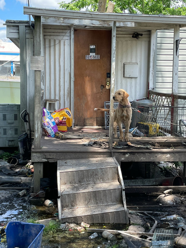 A dog chained to the porch of a home in the 1500 block of Crestview Drive awaits its owner, who was arrested Sunday night for animal cruelty.