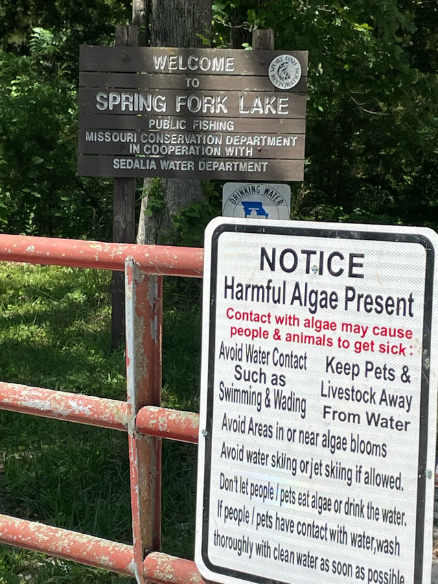 Spring Fork Lake was closed after a blue-green algae bloom was found over the weekend.