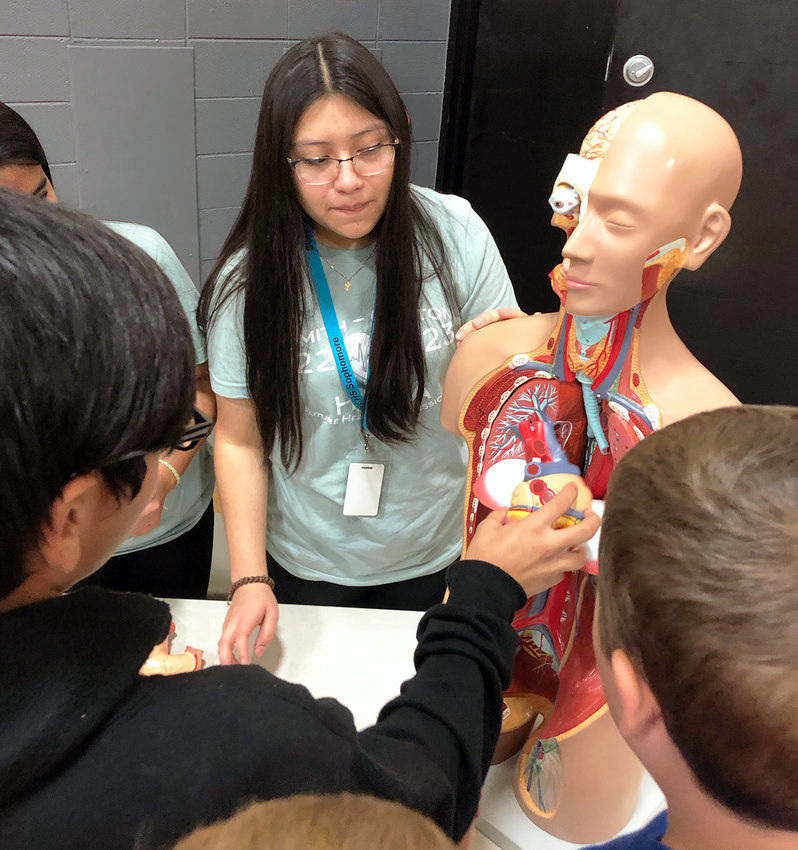 Smith-Cotton High HOSA member Valeria Juan uses the torso model to teach Sedalia Middle School students about the size and location of the human heart in relation to other major organs as part of HOSA&rsquo;s &quot;Heart Healthy&quot; service project.