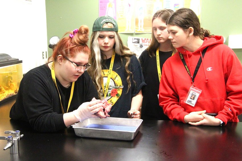 From left, Smith-Cotton anatomy student Phoebe Garrison shows pottery students Jacelyn Lancaster, Tatiana Peshov and Paige Beason the in-and-outs of a pig heart during class Tuesday, Feb. 14.