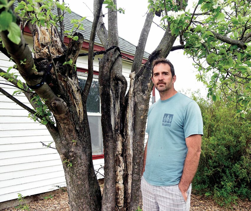 Arborist Christopher Rippey, the owner of the Missouri Arborist Co. in Sedalia, stands beside an apple tree with Fire Blight, a common fungus in fruit trees. Rippey recently discovered another fungus, cryptostroma corticale, in Sedalia, which can cause respiratory illness in people.   Photo by Faith Bemiss | Democrat