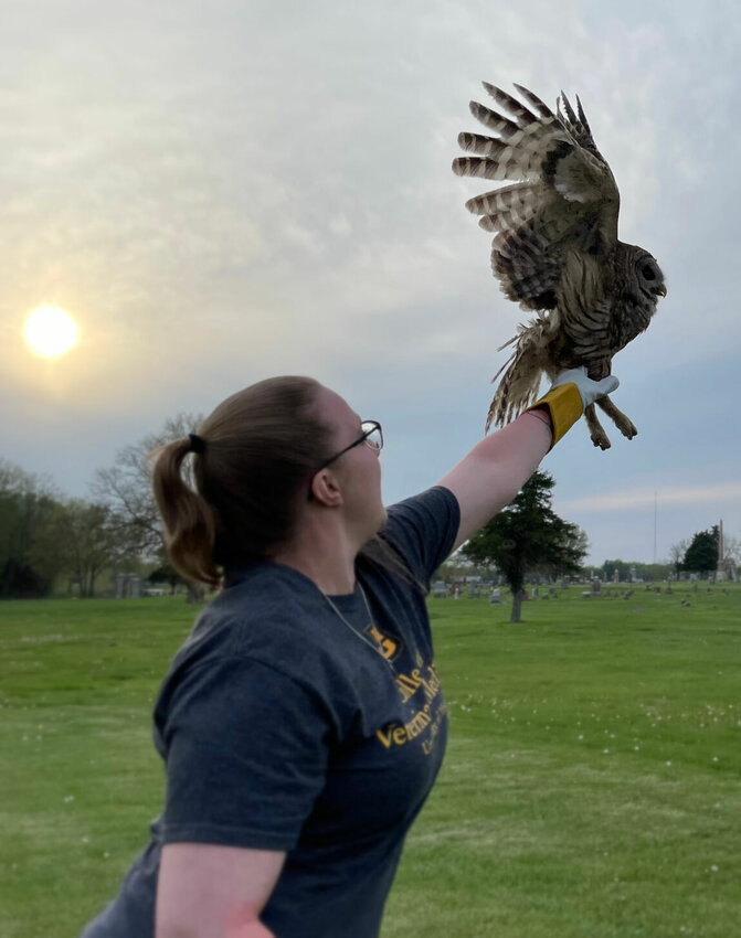 Cassie Berlin with the University of Missouri College of Veterinary Medicine is the primary vet student assigned with Fiddle-Squeak's care. Monday, the barred owl was released at Crown Hill Cemetery.   Photo by Chris Howell | Democrat