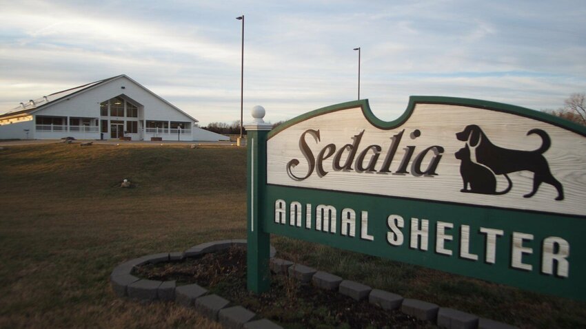 A new ordinance proposed at Tuesday night&rsquo;s Sedalia City Council meeting, and worked on by Animal Services Manager Randi Battson, would tighten regulations for pet ownership within the city limits.   File photo by Chris Howell | Democrat