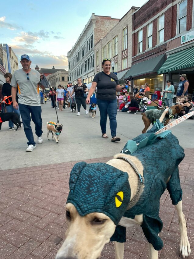 Pets like Nova, (dinosaur costume) owned by Trinity Durian, took over South Ohio Avenue on Thursday, Oct. 5 as a pet parade and Halloween costume contest raised donations for local animal shelters. The First Thursday event brought shoppers, vendors, musicians and food trucks downtown.   Photo by Chris Howell | Democrat