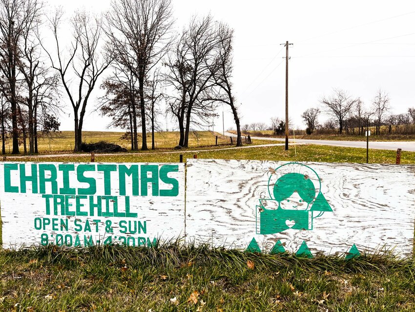 The Christmas Tree Hill farm,&nbsp;668 NW 250 Road in Centerview, will be open during daylight hours Dec. 2-10 or until the trees are gone. This is the last year for the family-owned business after more than 40 years.   Photo by Annelia Nixon | Warrensburg Star-Journal