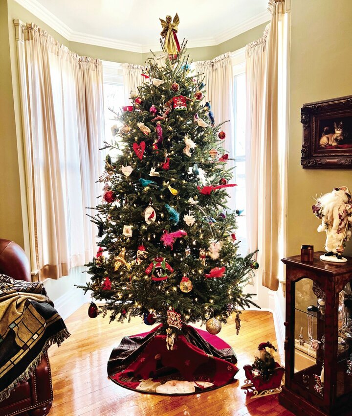 The risk of home fires increases during the holiday season and live Christmas trees can add to that risk. Sedalia Fire Chief Matt Irwin said live trees should be&nbsp; watered&nbsp;adequately, because a dry tree can quickly become a fire hazard.   Photo by Faith Bemiss-McKinney | Democrat