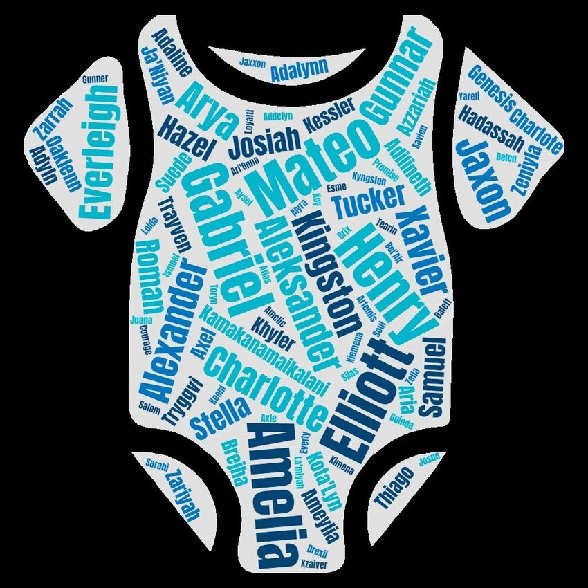 A word cloud depicting some of the names for babies born in 2023 through Dec. 14 at Bothwell Regional Health Center.   Graphic courtesy of Bothwell Regional Health Center