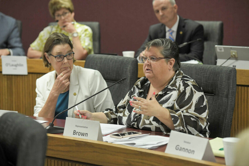 State Rep. Paula Brown, D-Hazelwood, speaks during a July 2021 hearing of the Joint Committee on Education. She is sponsoring a bill to change statewide testing, accreditation and accountability.   Photo by Tim Bommel | Missouri House Communications