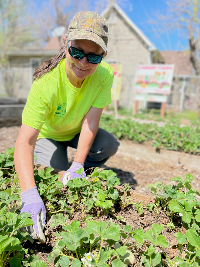 Seasonal landscaper Sarah Keating preps the strawberry beds at the Community Garden, 407 N. Hurley Ave., on Tuesday, April 9. Keating said she enjoys the fresh air, birds and nature, but hopes others will feel the need to pitch in and help.   Photo by Chris Howell | Democrat