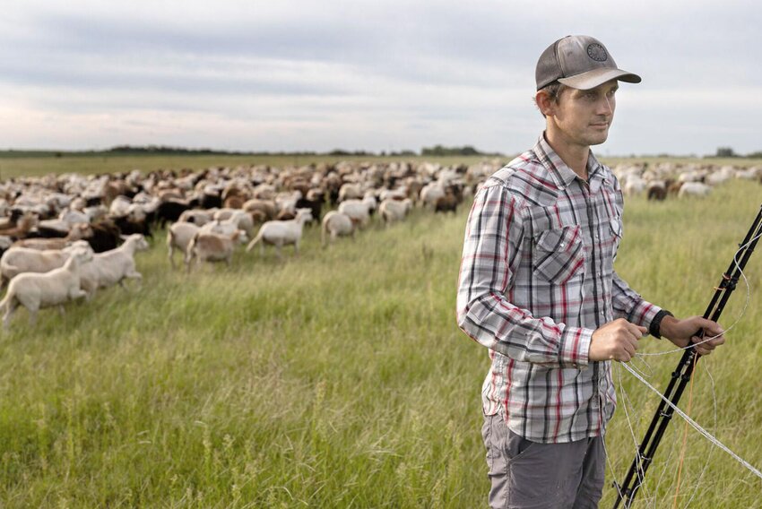 Josh Payne closes the electric fence after 1,000 sheep pass through to a fresh paddock Sept. 3 at the Payne family farm in Concordia. Payne said that moving 1,000 sheep from paddock to paddock is easier than moving a small number. 


Photo by Cory W MacNeil | Columbia Missourian