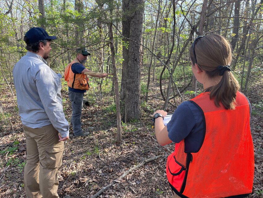 Forester David Mann, Missouri Department of Conservation District Supervisor Jake Willard and Forestry Assistant Mary Lass inventory the trees of Spring Fork Lake&rsquo;s surrounding forest for thinning and management.