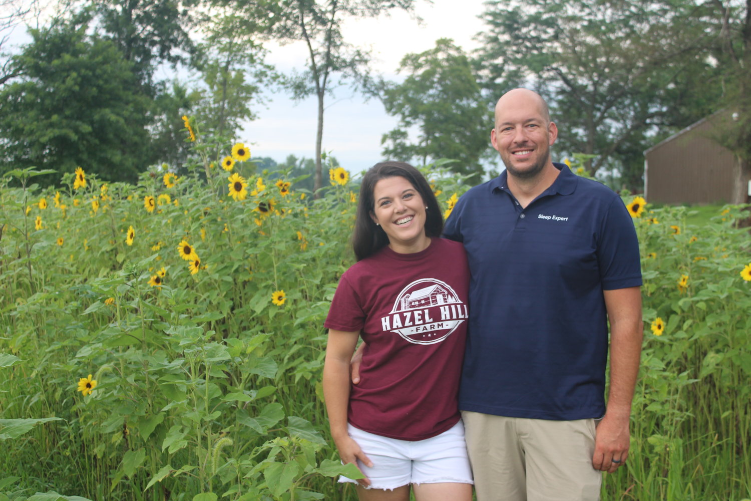 Hazel Hill Farm opens sunflower field for the perfect summer photos ...