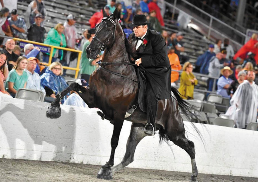 John Allan Callaway rides Justified Honors to the 2022 Tennessee Walking Horse World Grand Championship on Saturday night.