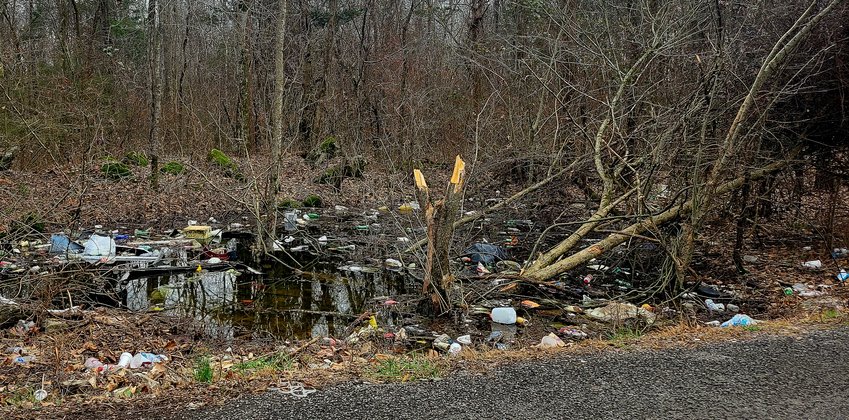 Swampy and wooded areas on Fly Road have become dumping grounds.
