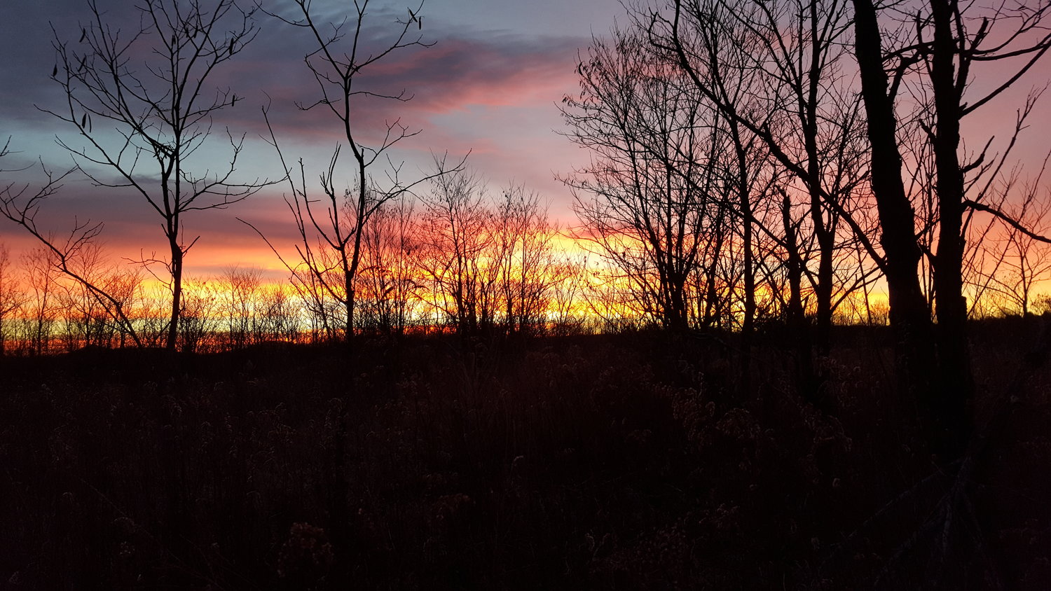Taken from his deer stand in 2015, on the day Siers bagged his 10-point, he was treated to this sunrise.