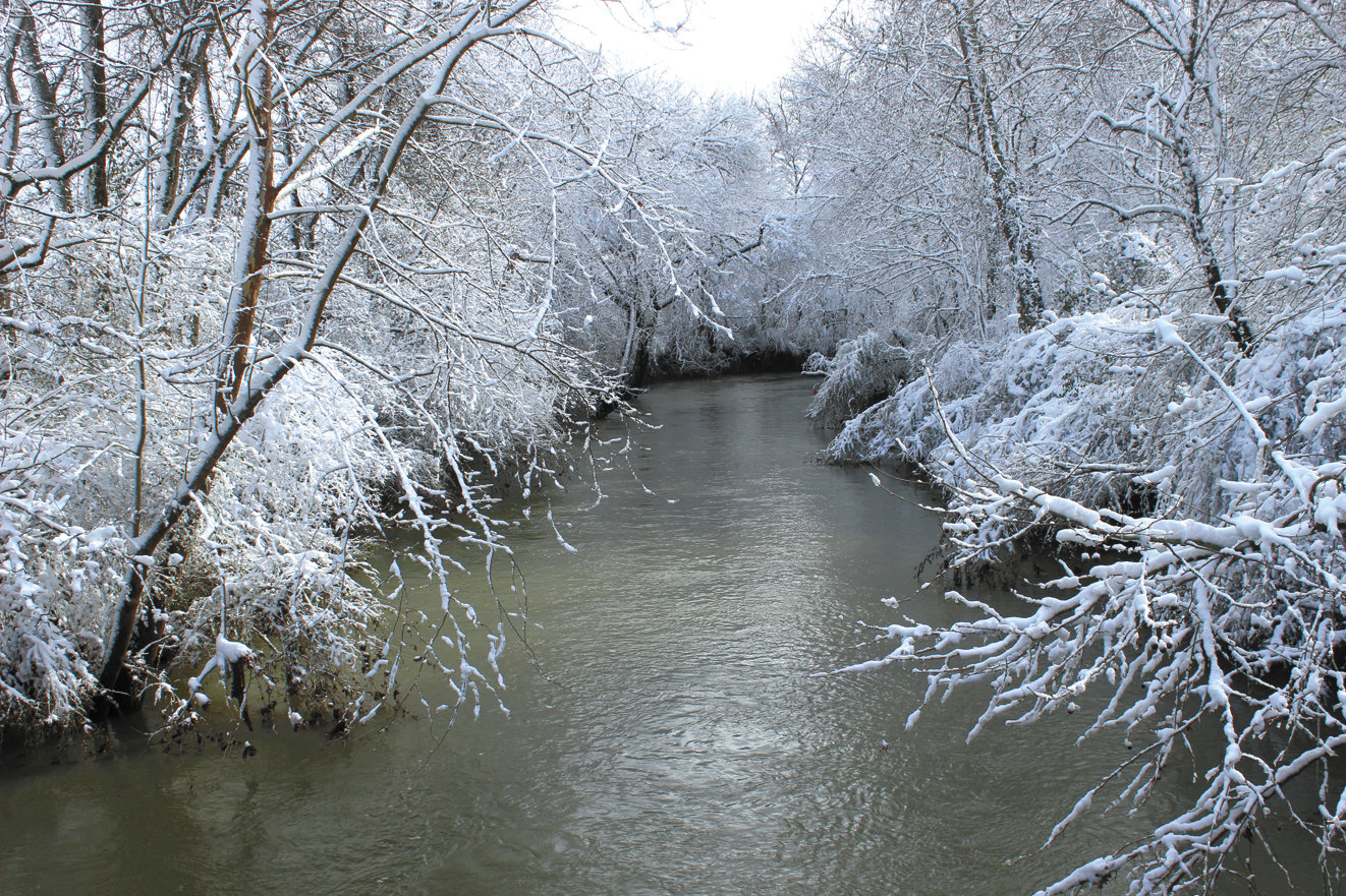 The snow and cold weren’t enough to freeze Flat Creek, as seen from a bridge on Old Center Church Road.
