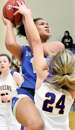 Sophomore forward Lilly Brown became a consistent
scorer for Shelbyville as the season progressed.